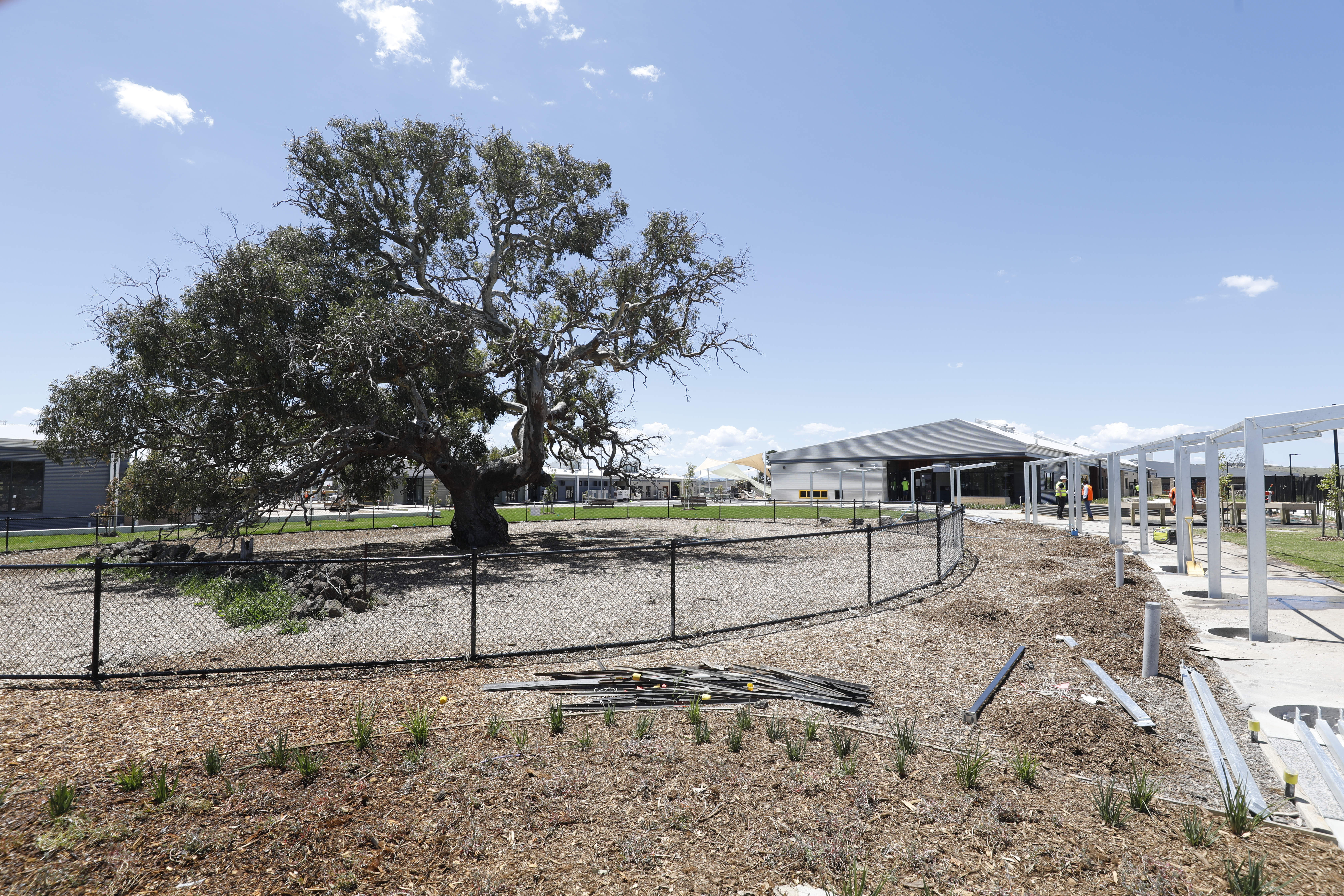 ​​​Wollert Primary School - new school, November 2021 construction progress